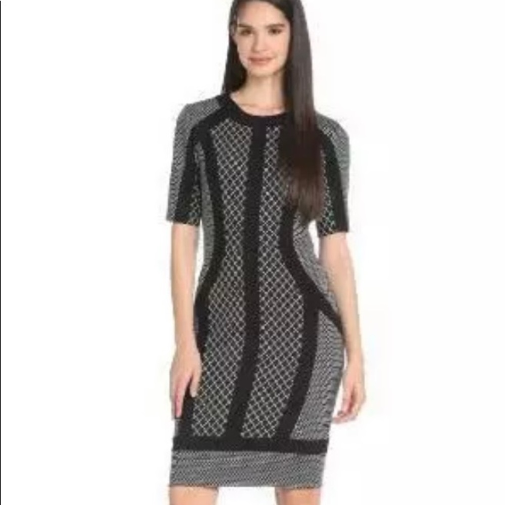 BCBGMaxAzria Camellia Dress Size Large